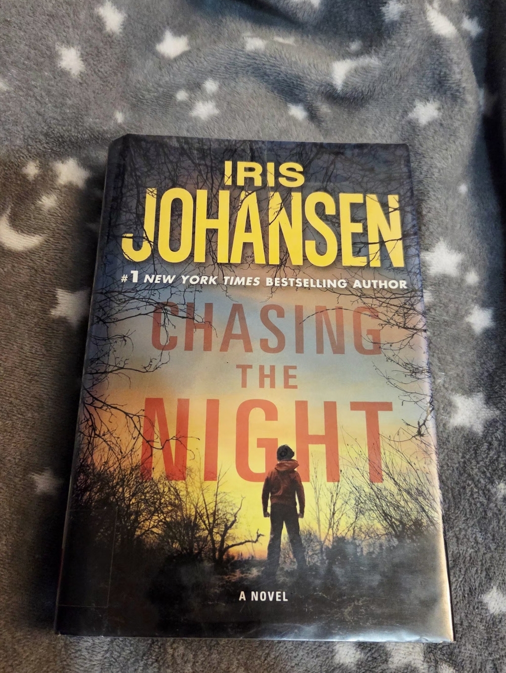 Chasing the Night By Iris Johansen Book